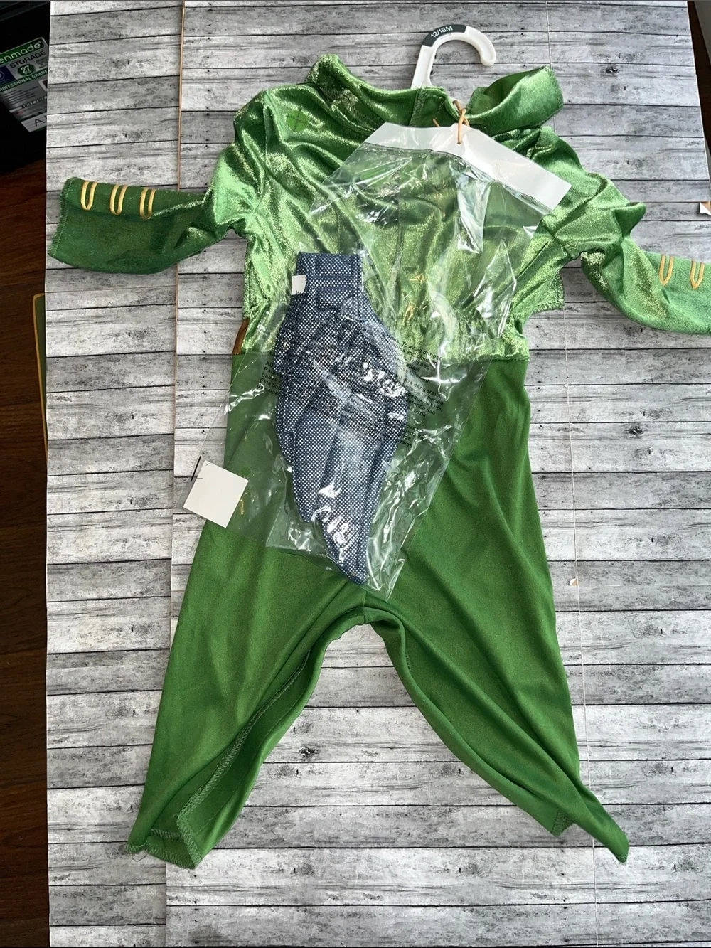 Wicked Flying Monkey costume